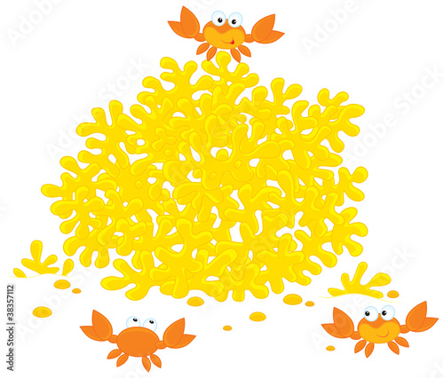 Coral and Crabs
