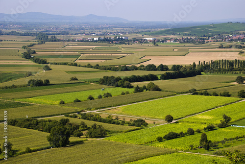 Aricultural landscape, fields, south Germany