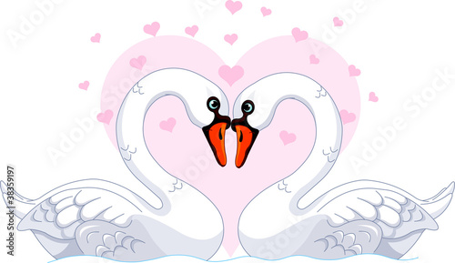 Swans in love