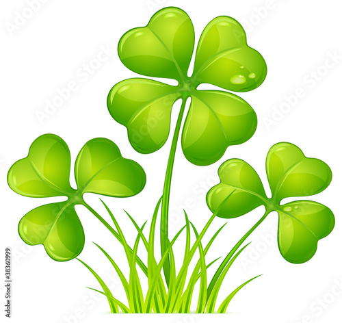 Clover with grass