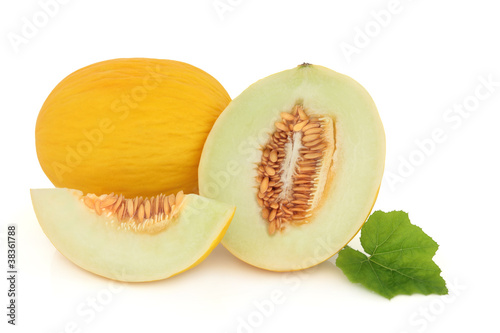 Honeydew Melon