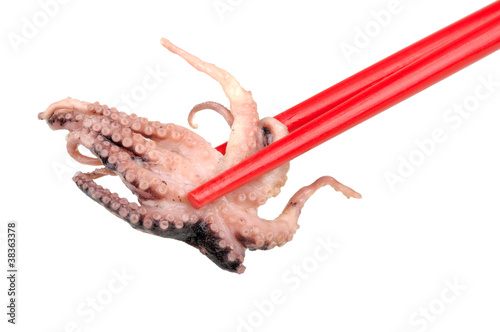 octopus in the chopstick