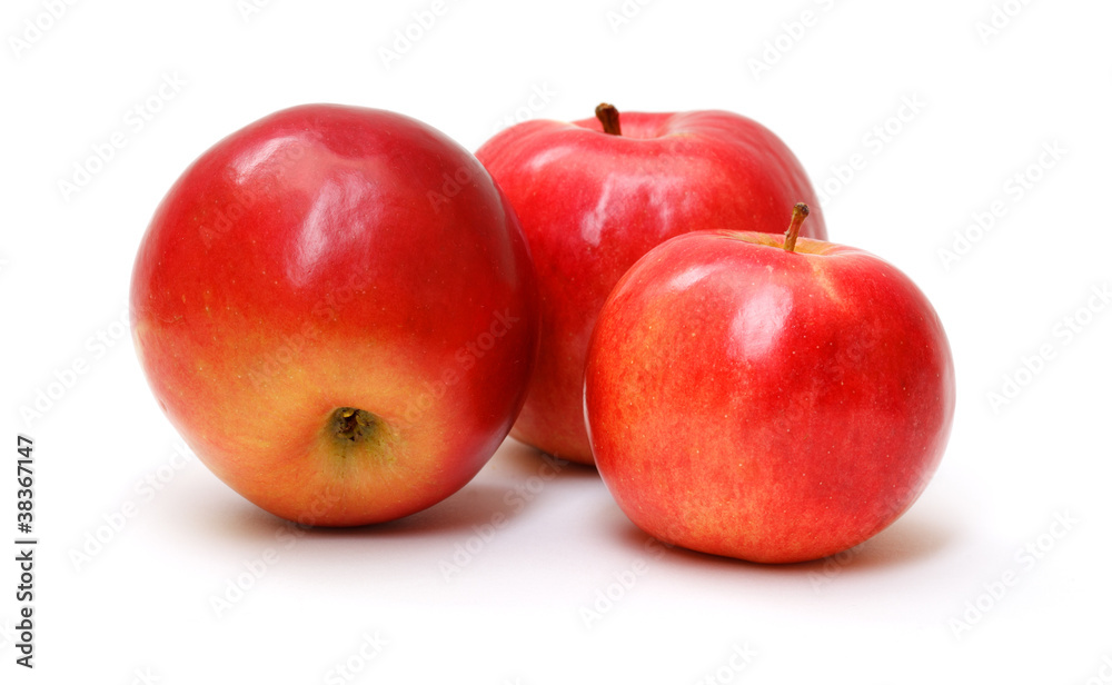 fresh red apples isolated on white background fresh red apples isolated on white background