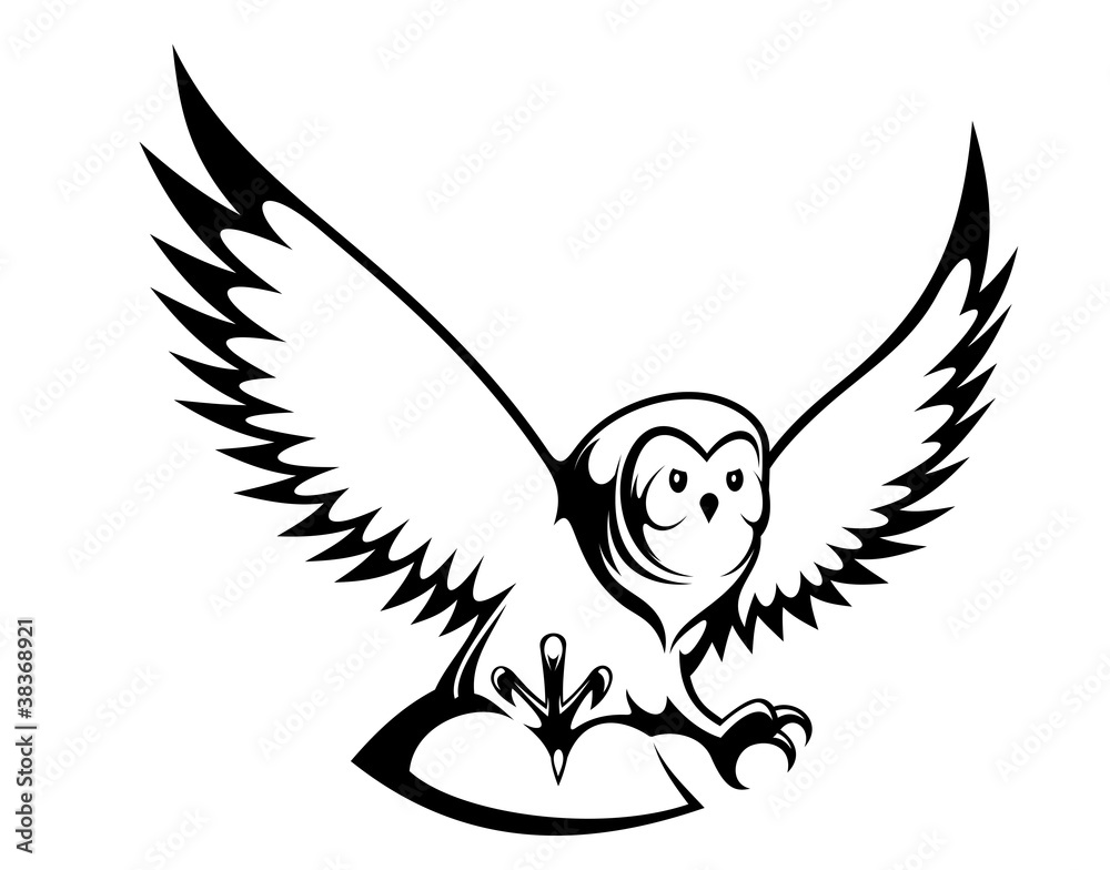 Fototapeta premium Flying owl