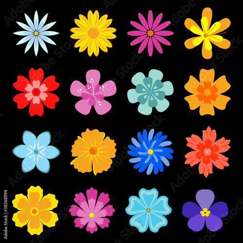 Fototapeta Naklejka Na Ścianę i Meble -  Set of flower blossoms
