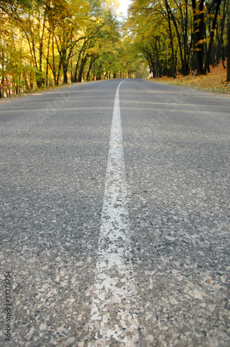 Highway in autumn wood