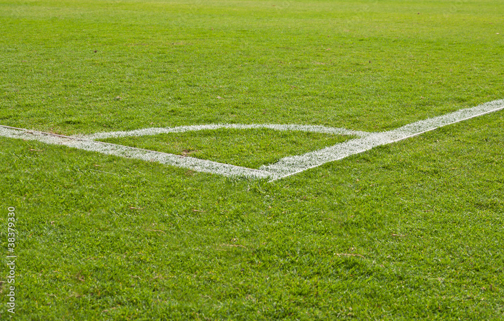 Obraz premium green grass and soccer field corner