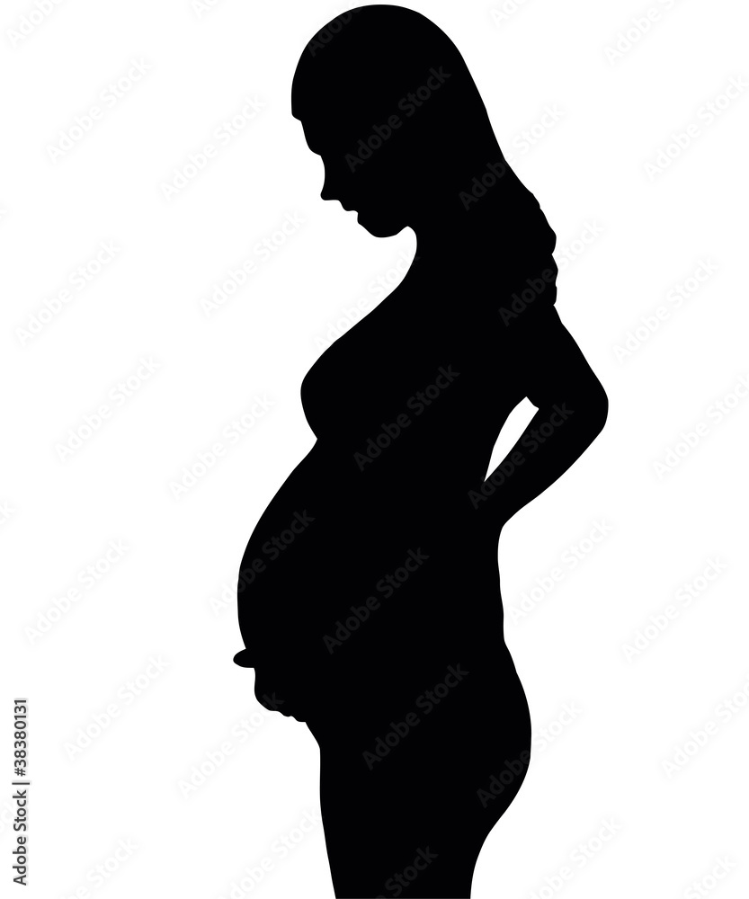 The Silhouette of the pregnant woman. The Silhouette of the pregnant woman.