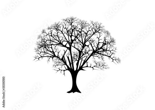 Baum Silhouette
