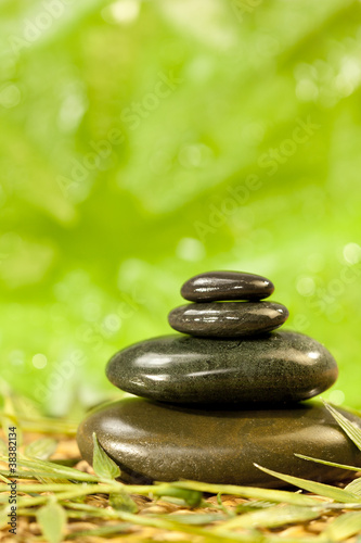 Fototapeta Naklejka Na Ścianę i Meble -  Spa Massage Hot Stones in Green Environment