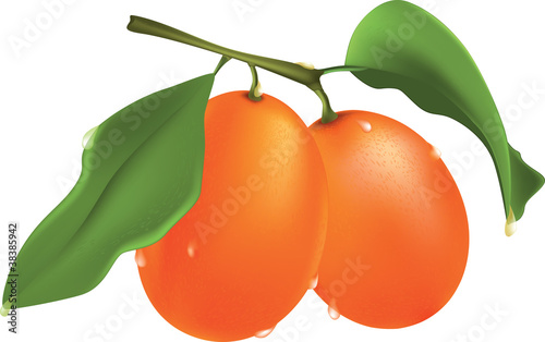 Apricots