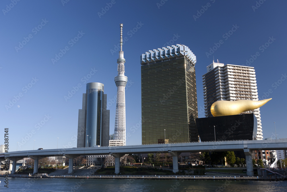 Fototapeta premium Tokyo Sky Tree i River Pier Azumabashi