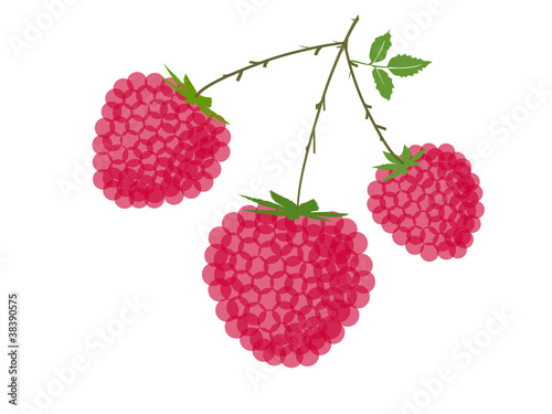 Raspberries with stem