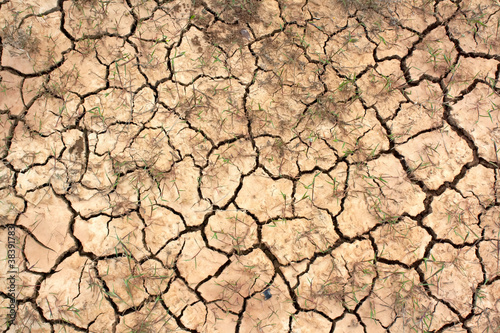 The dried up cracked earth