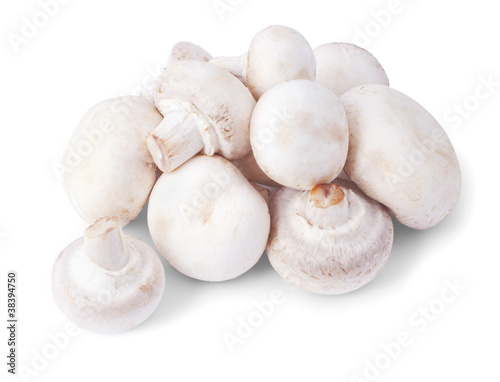 White mushrooms isolated on a white