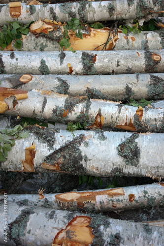 Fototapeta Naklejka Na Ścianę i Meble -  Stack of birch trees