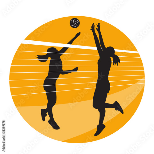 Volleyball Player Spiking Blocking Ball
