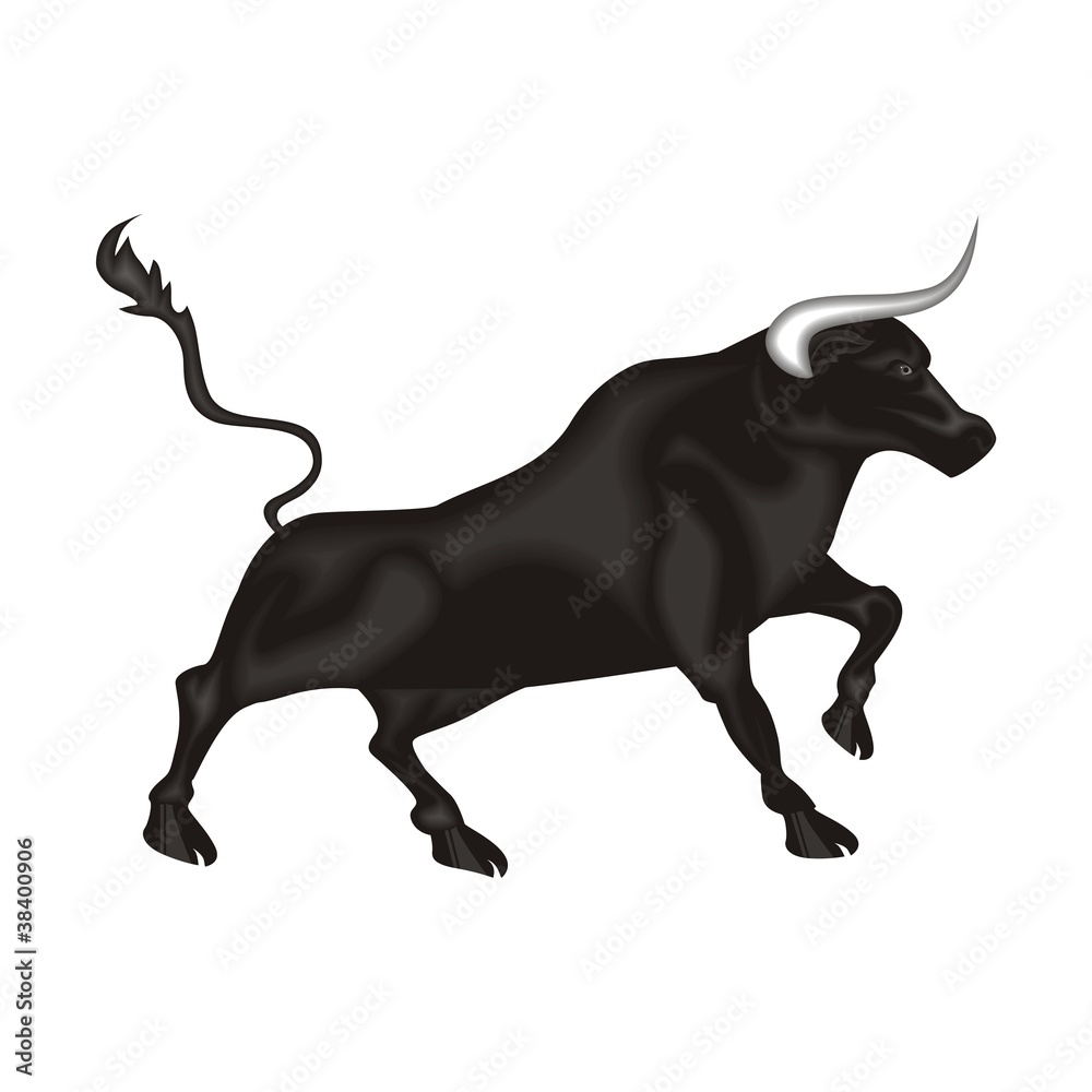 toro