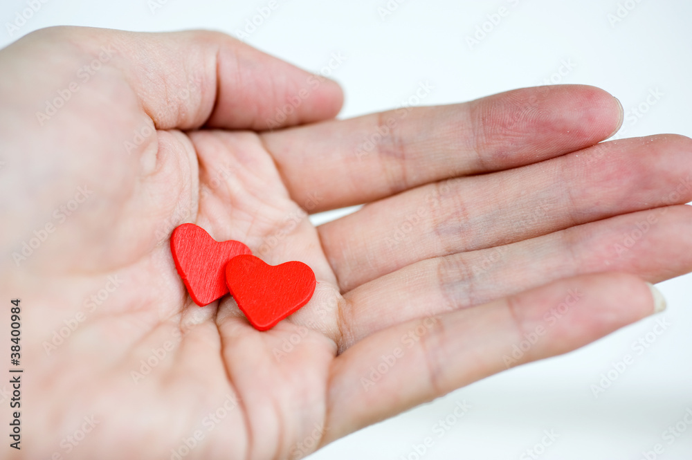 heart in the hands heart in the hands