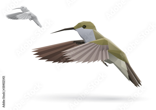 Small Colibri in flight stylized polygonal model