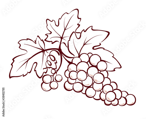 Bunch of grapes