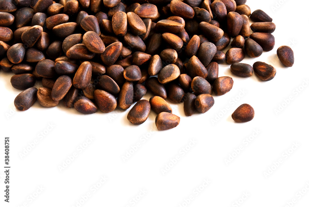 nuts of cedar nuts of cedar
