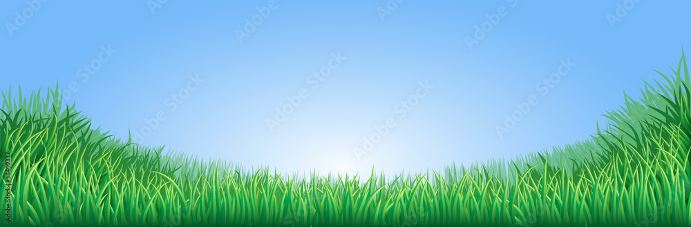 Green grass field illustration Green grass field illustration