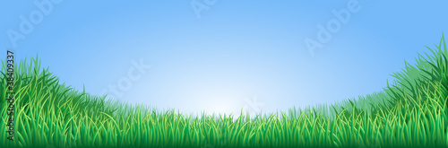 Green grass field illustration