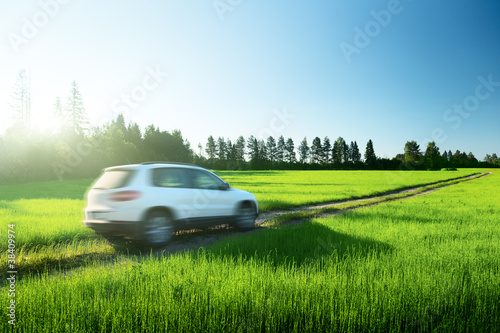 spring field and blured car on ground road