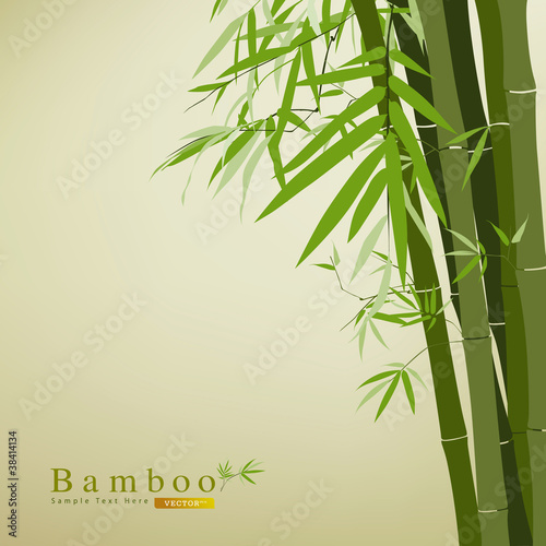 Fototapeta Naklejka Na Ścianę i Meble -  Bamboo green leaf vector illustration