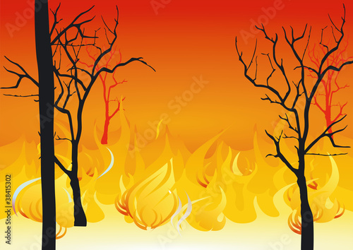 waldbrand