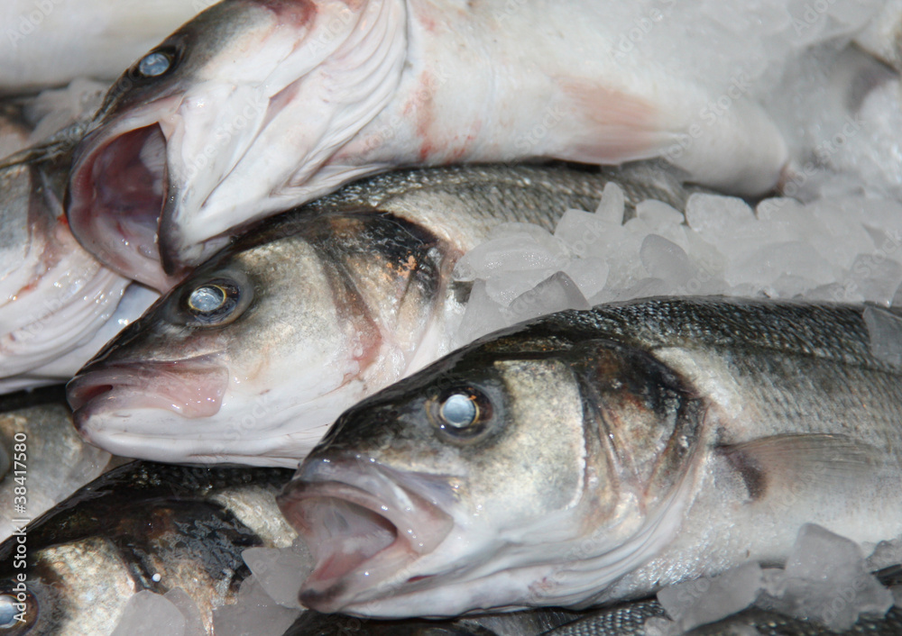 Some Fish with Ice on a Fishmongers Slab.
