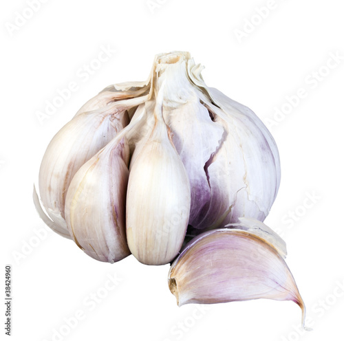Garlic © GKMF53