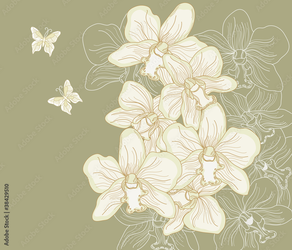 Fototapeta premium orchidee disegnate a mano libera su sfondo scuro