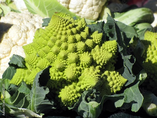 Choux romanesco au marché photo