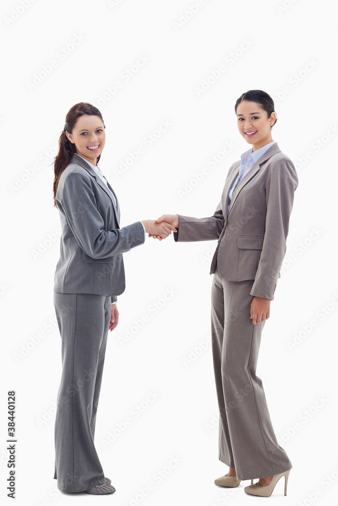 Two businesswomen shaking hands and smiling