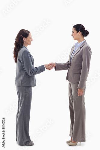 Two businesswomen shaking hands