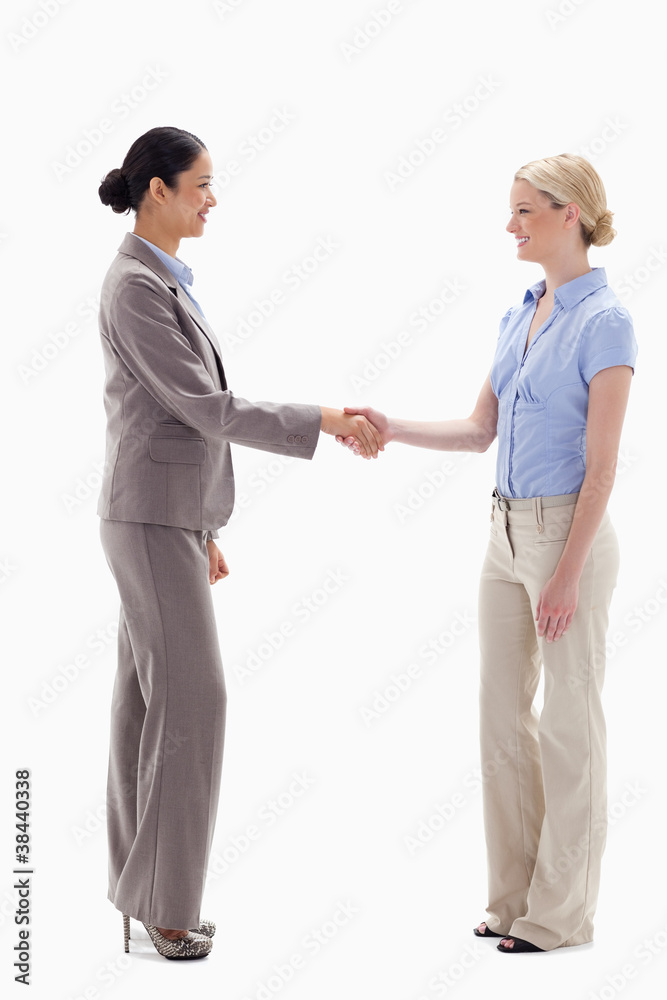 Women shaking hands happily