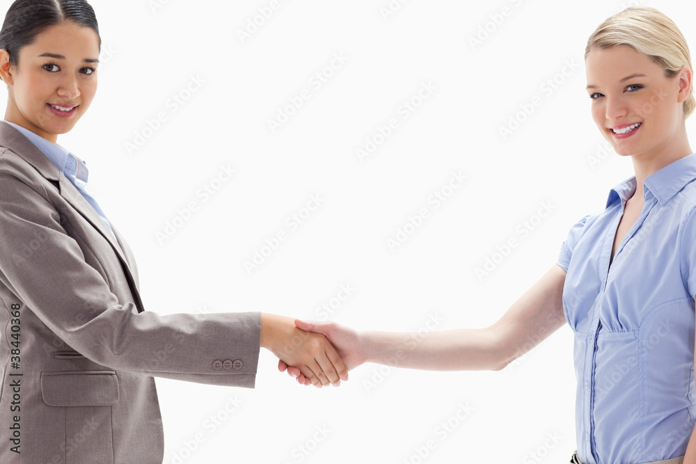 Close-up of smiling women shaking hands Close-up of smiling women shaking hands