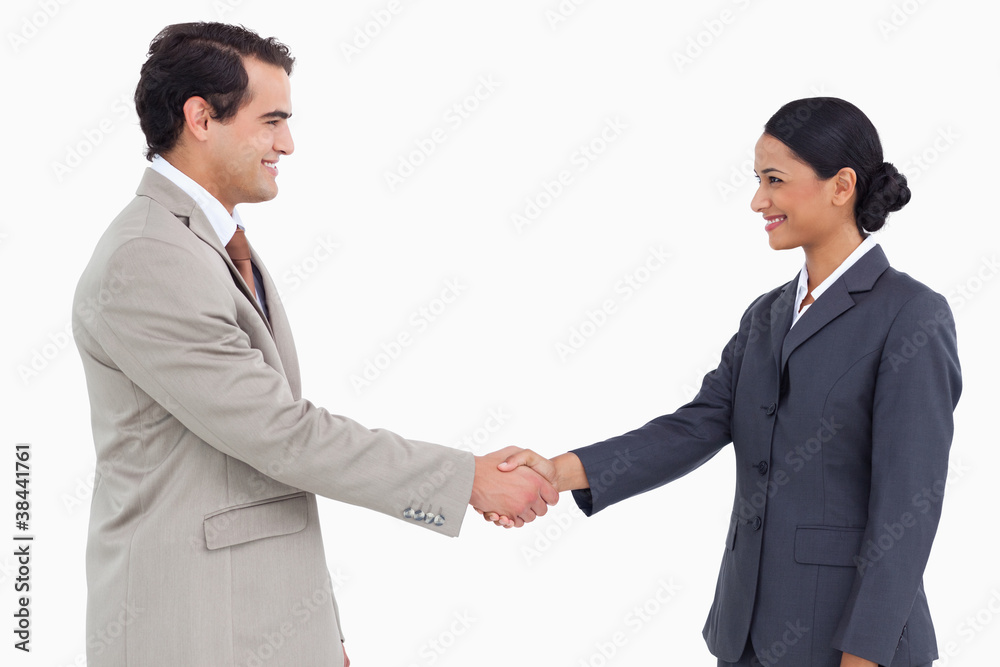 Side view of business partners shaking hands Side view of business partners shaking hands