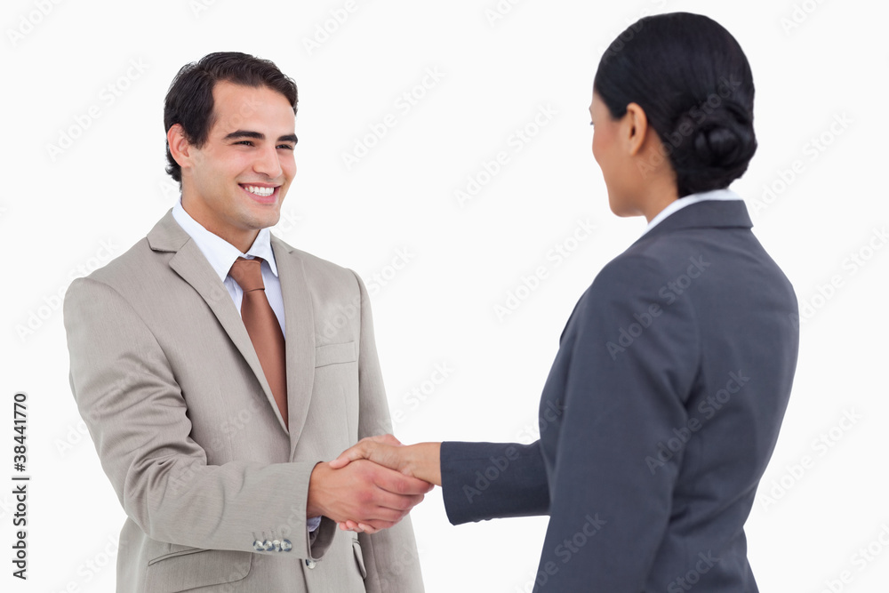 Smiling businessman shaking hand of businesspartner