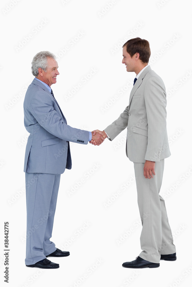 Side view of smiling tradesmen shaking hands Side view of smiling tradesmen shaking hands