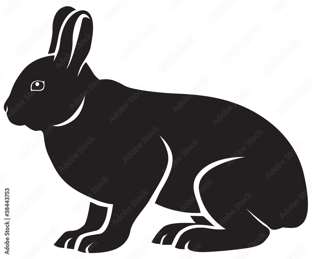Obraz premium silhouette of hare