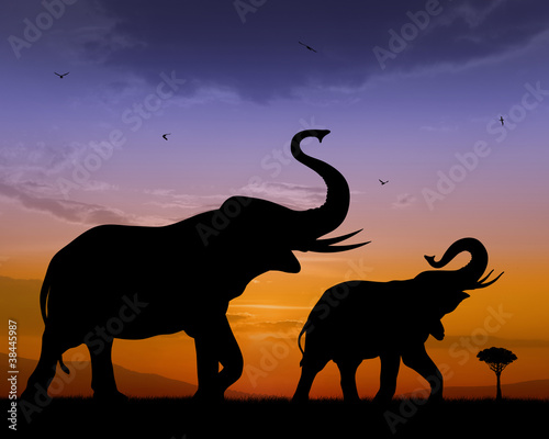Elephants © Dimitar Marinov