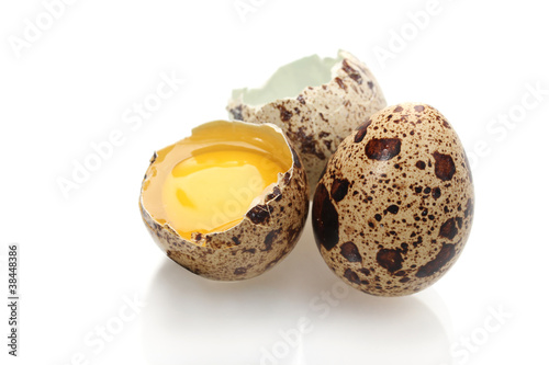 quail eggs isilated on white