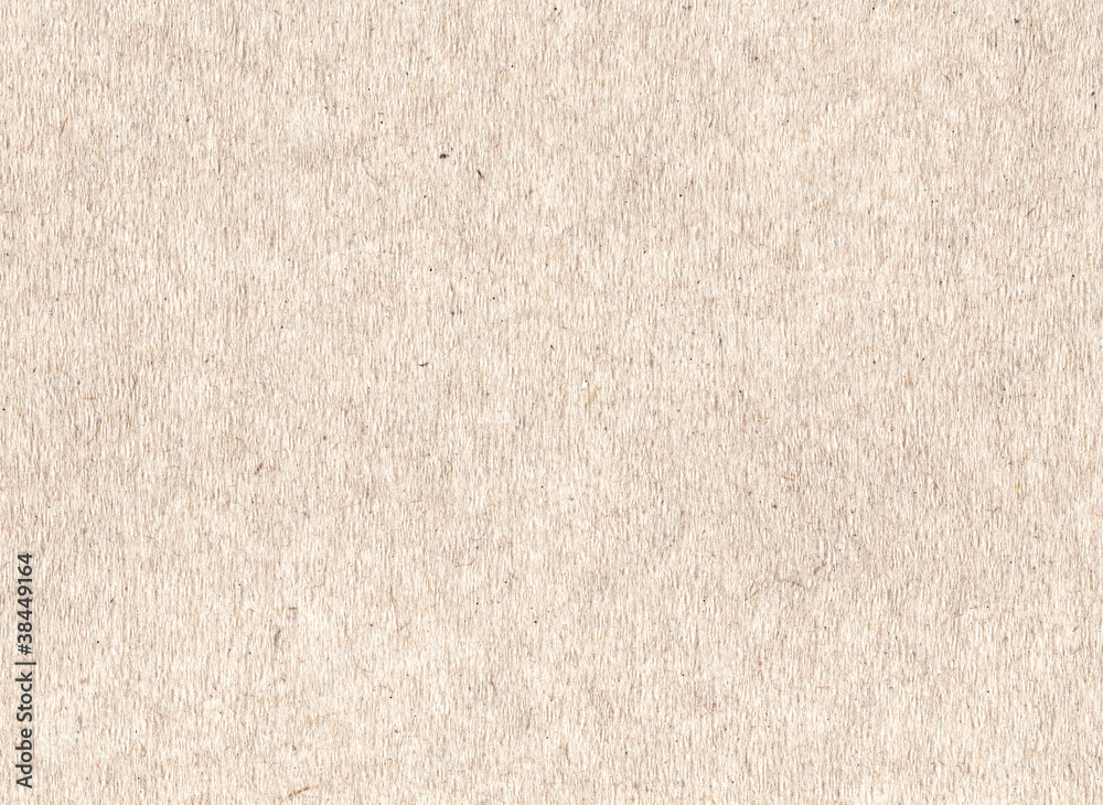 Fototapeta premium Szorstki tekstury papieru