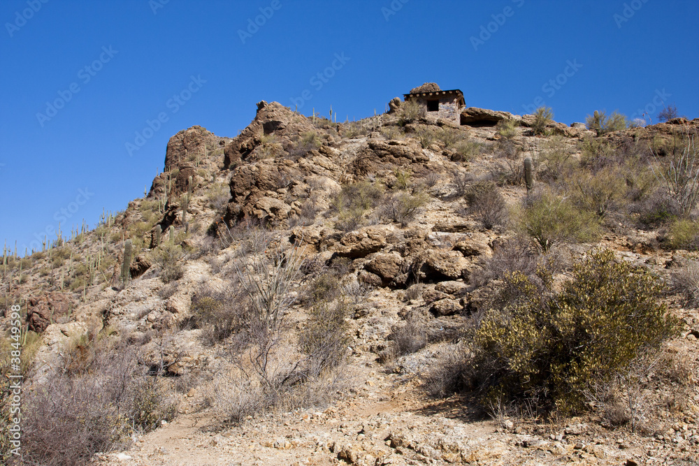 Desert of Arizona Desert of Arizona