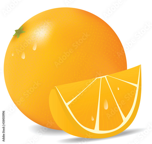 Fresh orange in vector