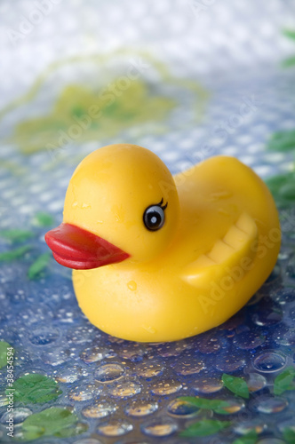 duck toy in bathroom