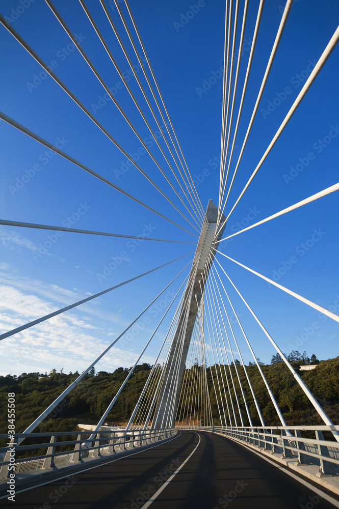 ponte ponte